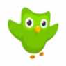 duolingo logo