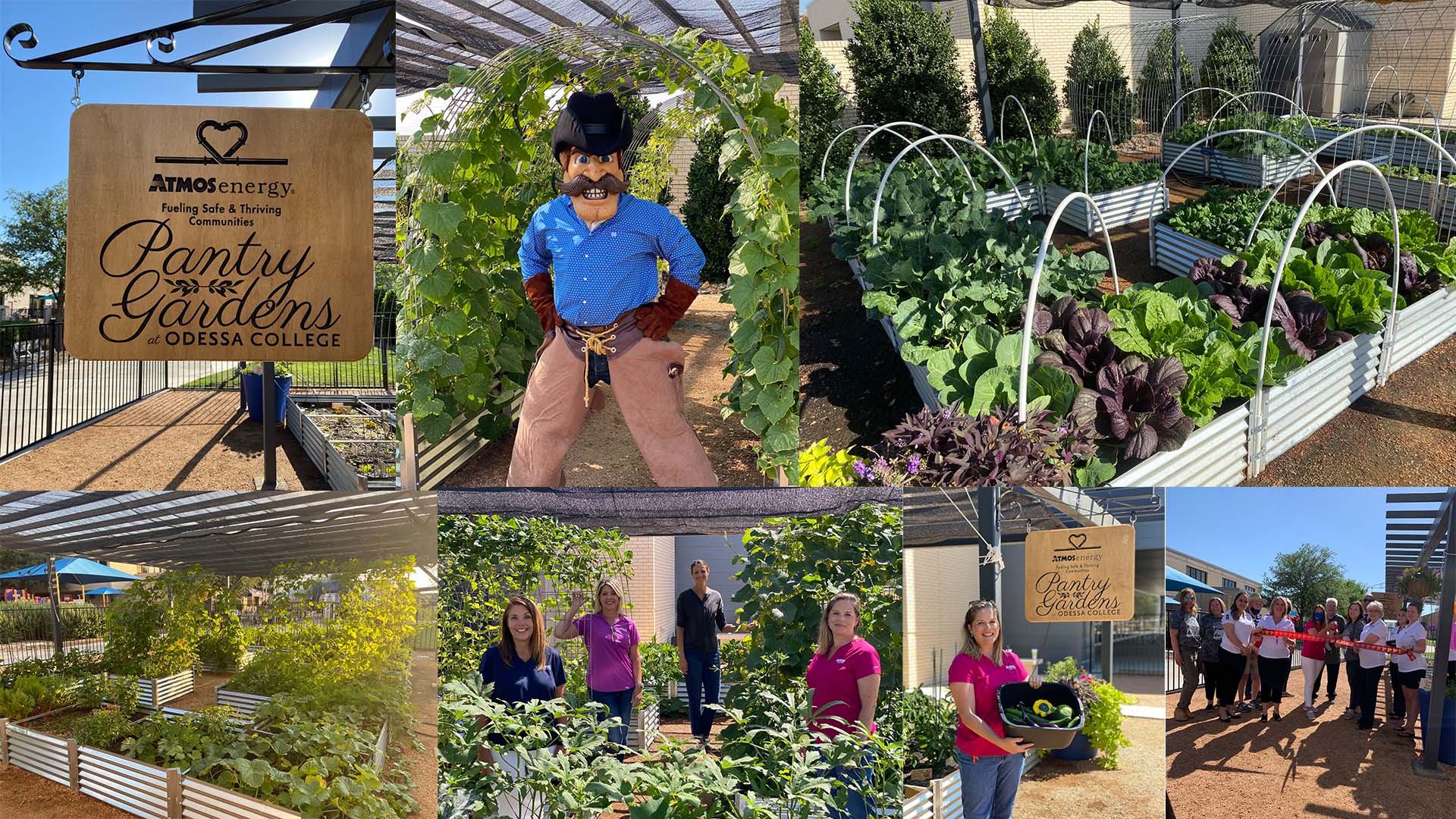 Pantry Gardens collage 